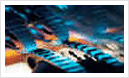 3454321cefc89d7b475fb0fd3442846a_1737094751_5146.gif
